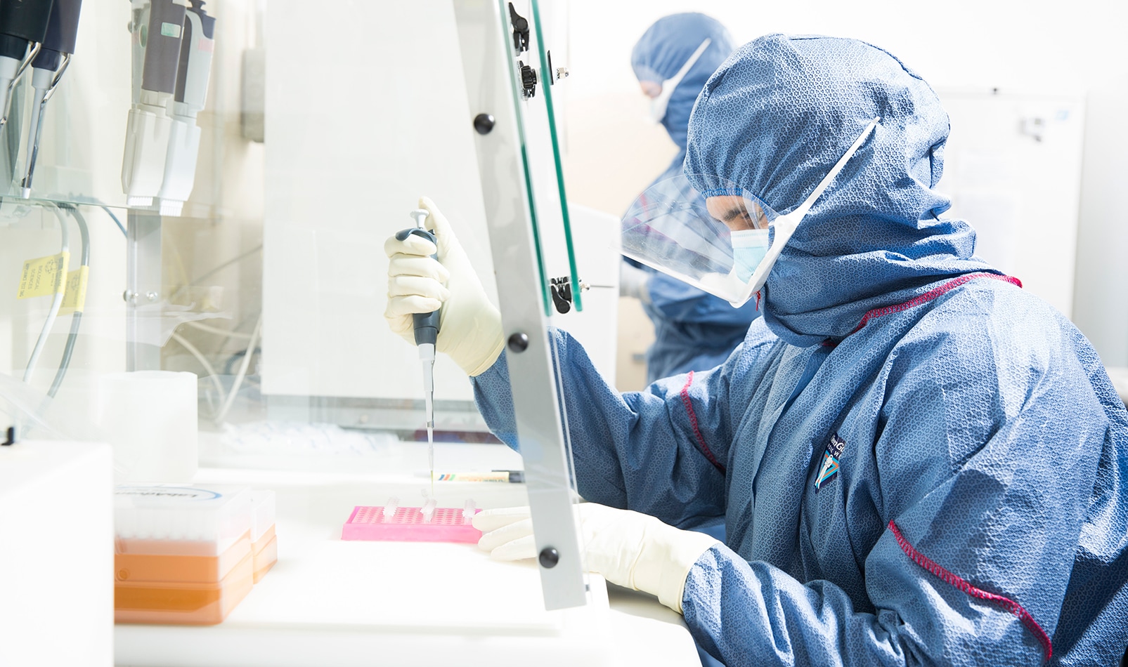 Researchers at the Australian Centre for Ancient DNA studying ancient remains. Credit: Australian Centre for Ancient DNA, Adelaide University.