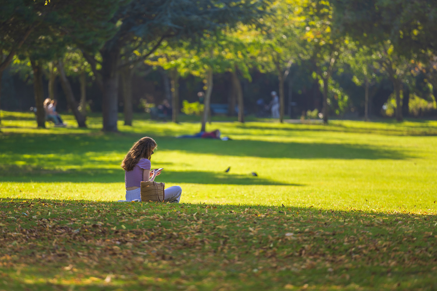 Dublin Parks