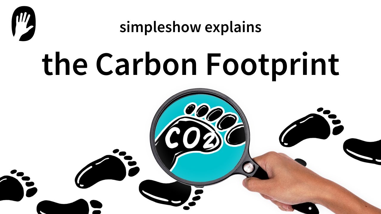 4dk carbon footprint 2026 05 04 133440 akdj