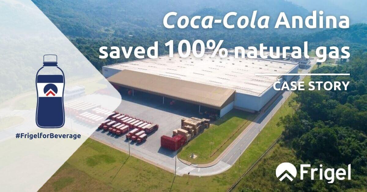Coca cola Andina case story beverage