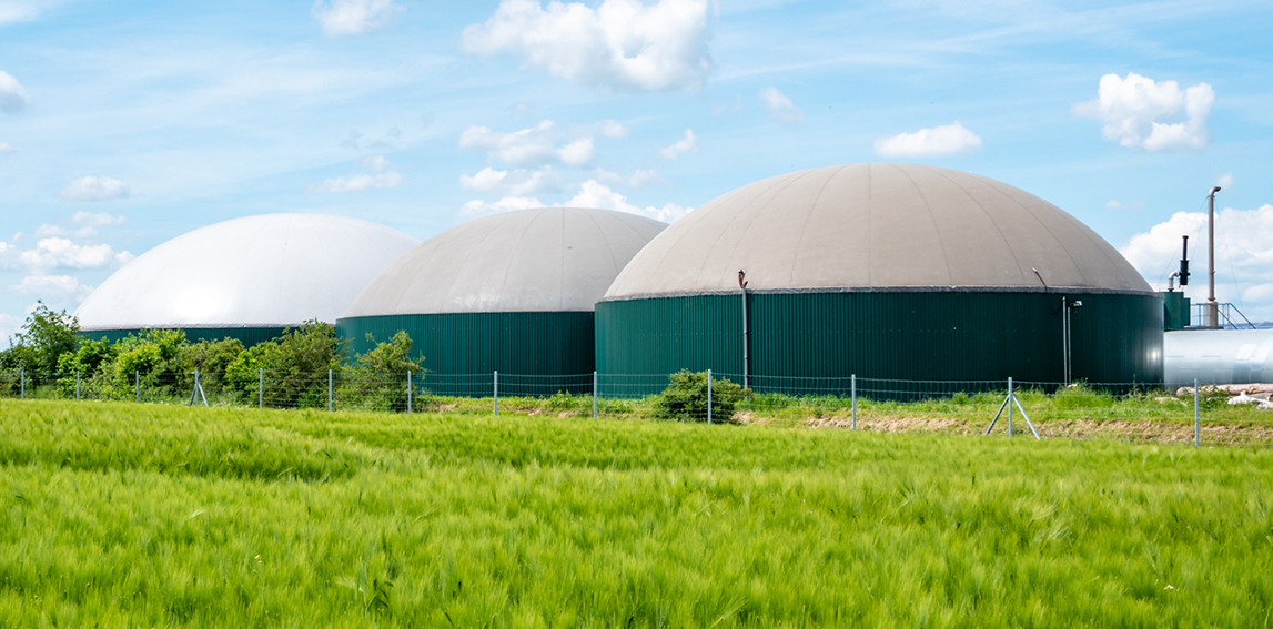 Power biogas home