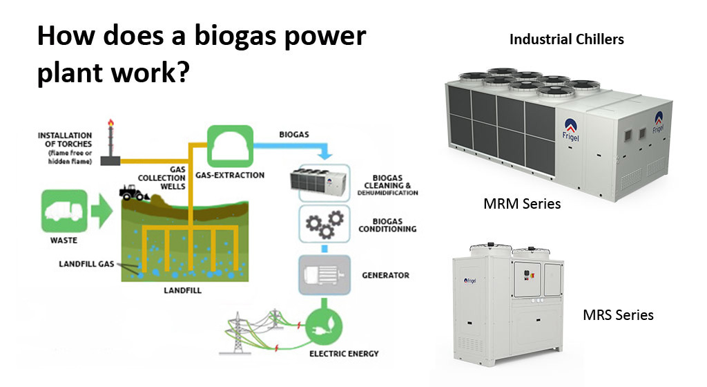 Frigel case story biotecnogas how biogas plant works
