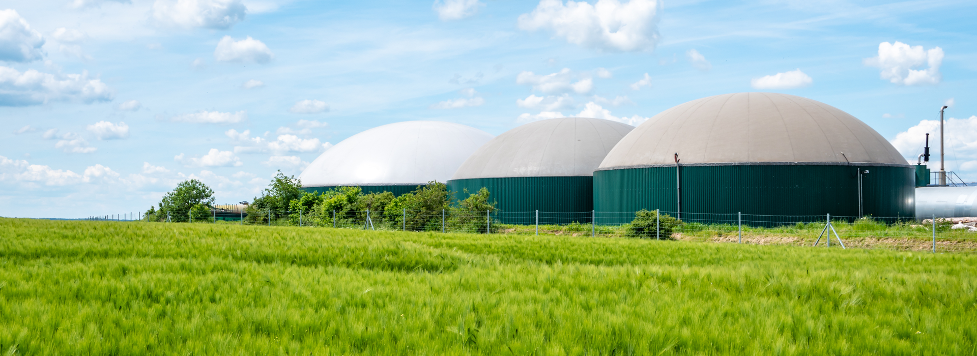 Power biogas