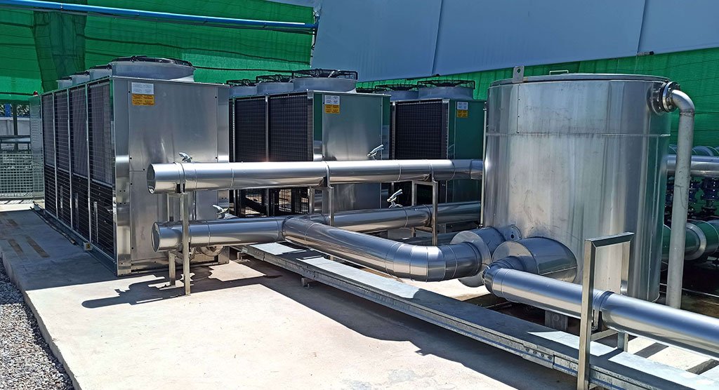 Frigel case story zico coca cola thailand 01