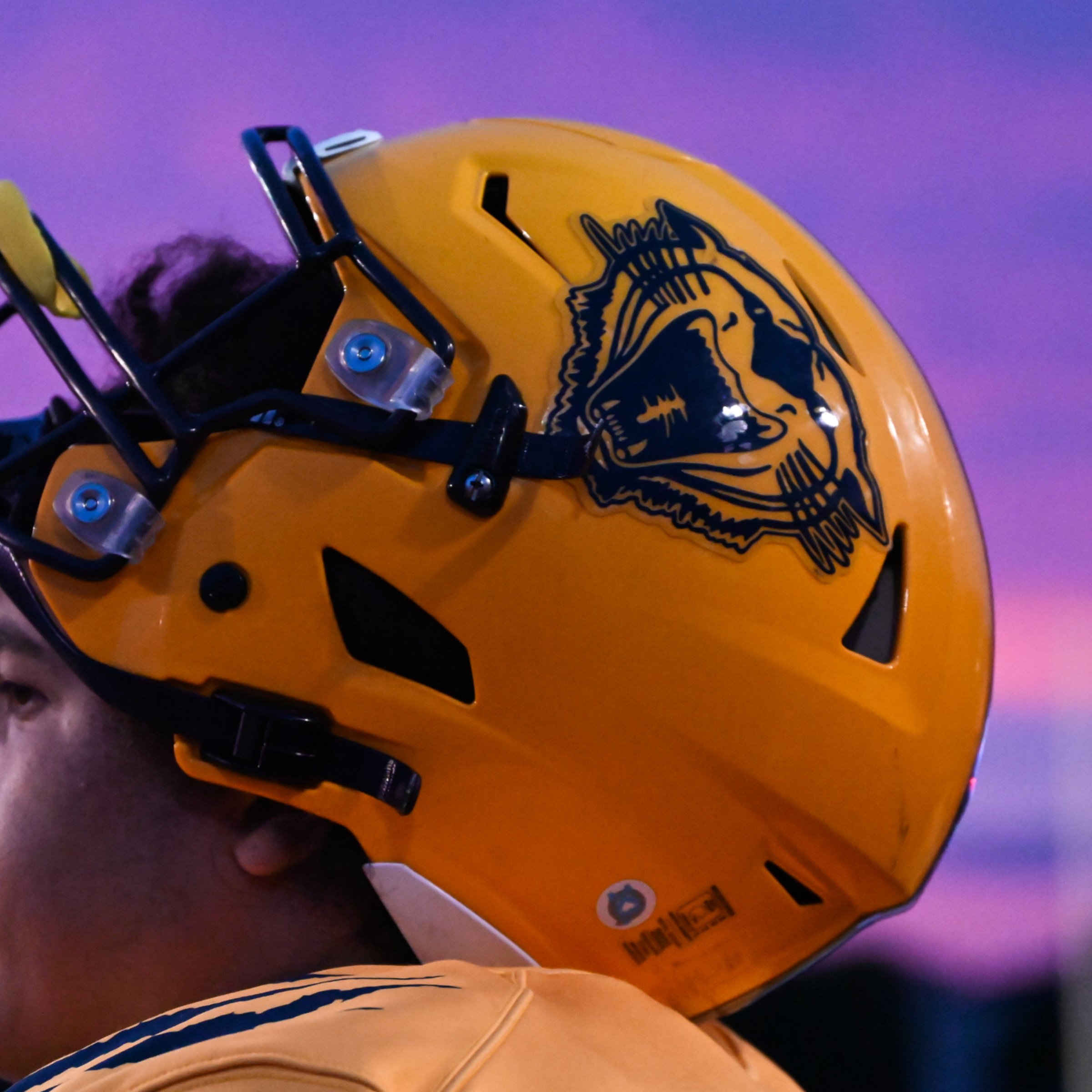 bcc football helmets Army Black Knights Skull and Crossbones Black Revolution Speed Mini Helmet Based on one of the most popular on Bison Meet Wildcats in 35th