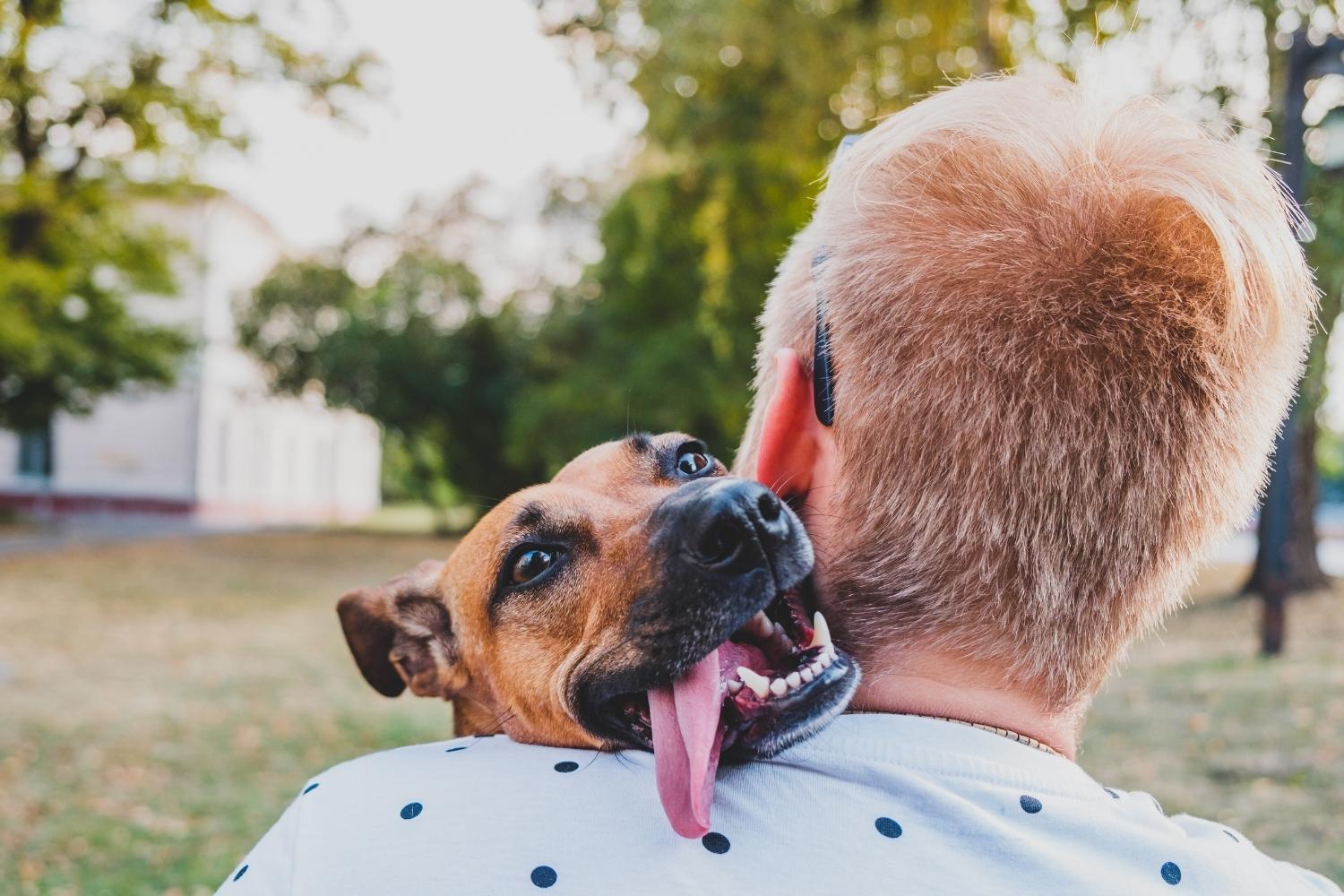 Adopt a happy dog in Portland