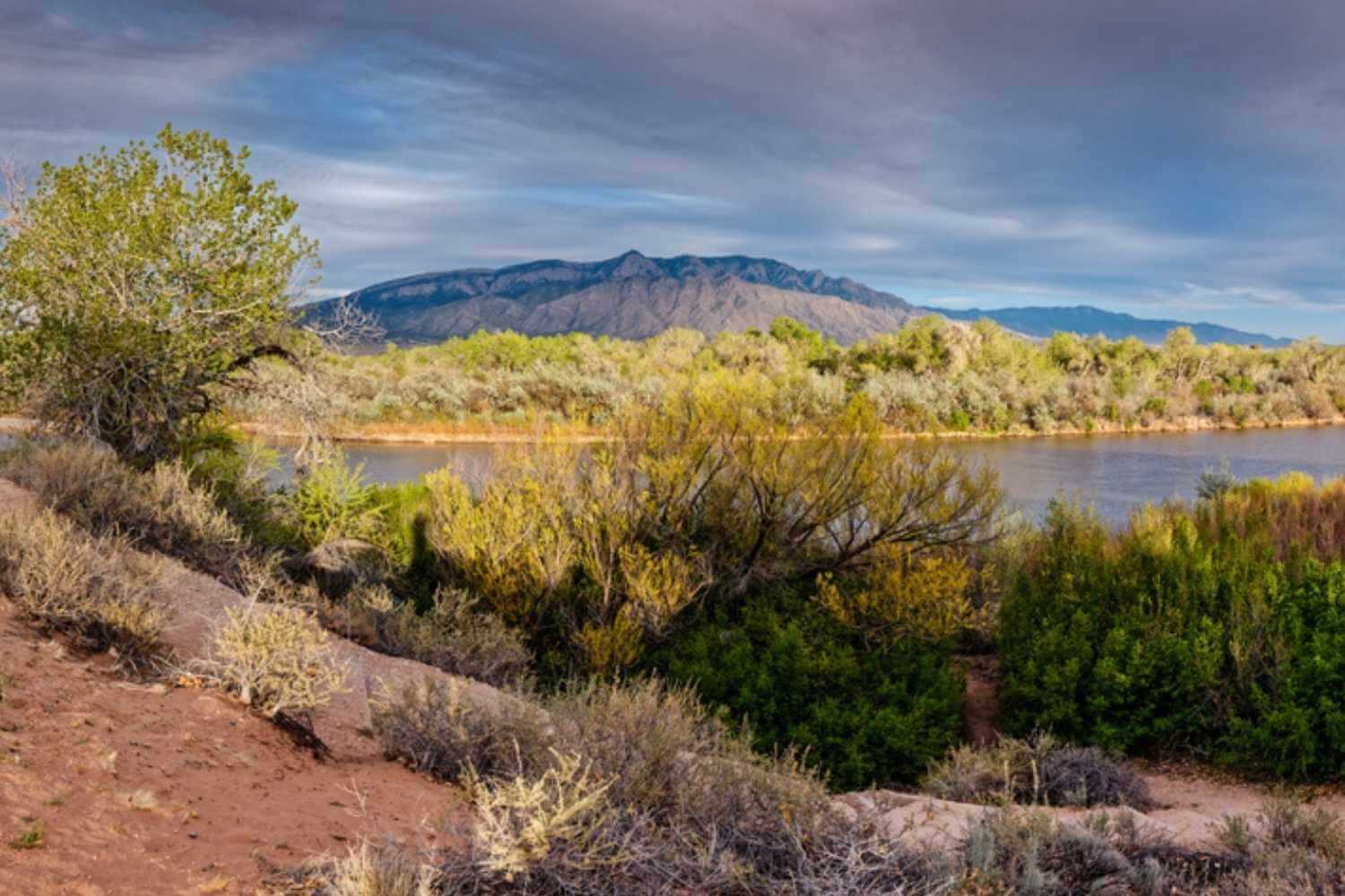 Albuquerque, NM Landscape