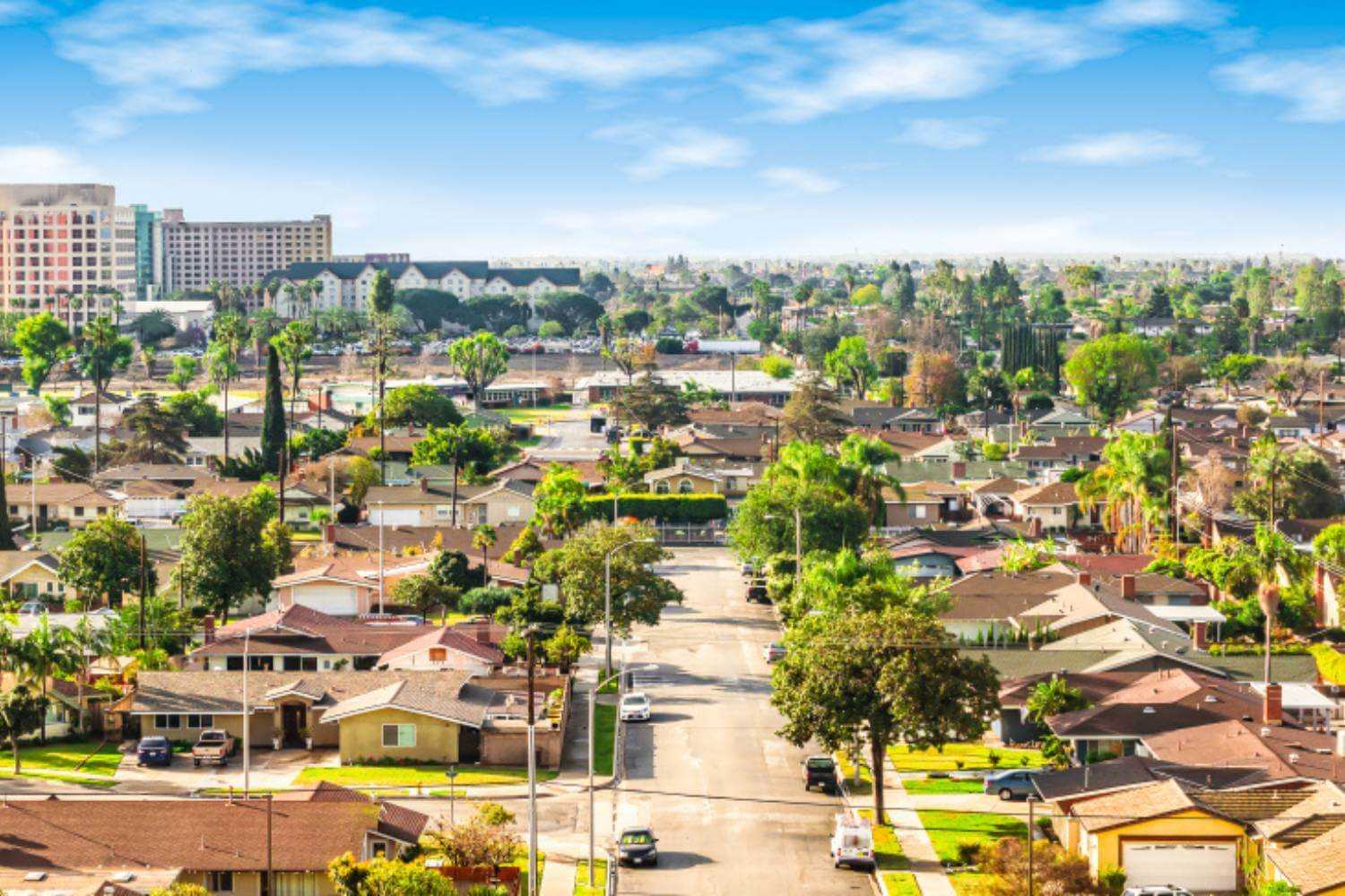 Anaheim CA Skylined Trees