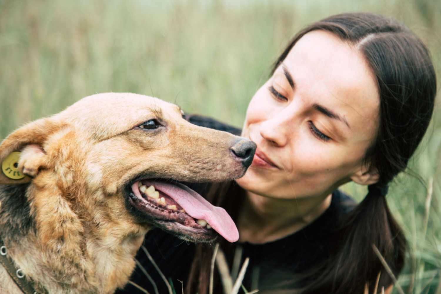 Atlanta GA Adoptable Dog with Woman