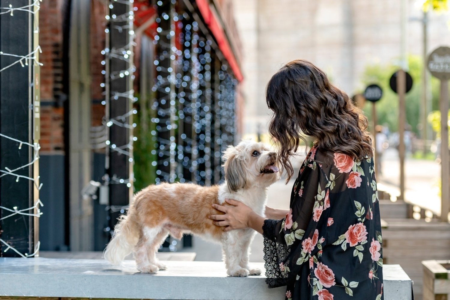 Brooklyn-Dog-Friendly-Restaurants-Petting