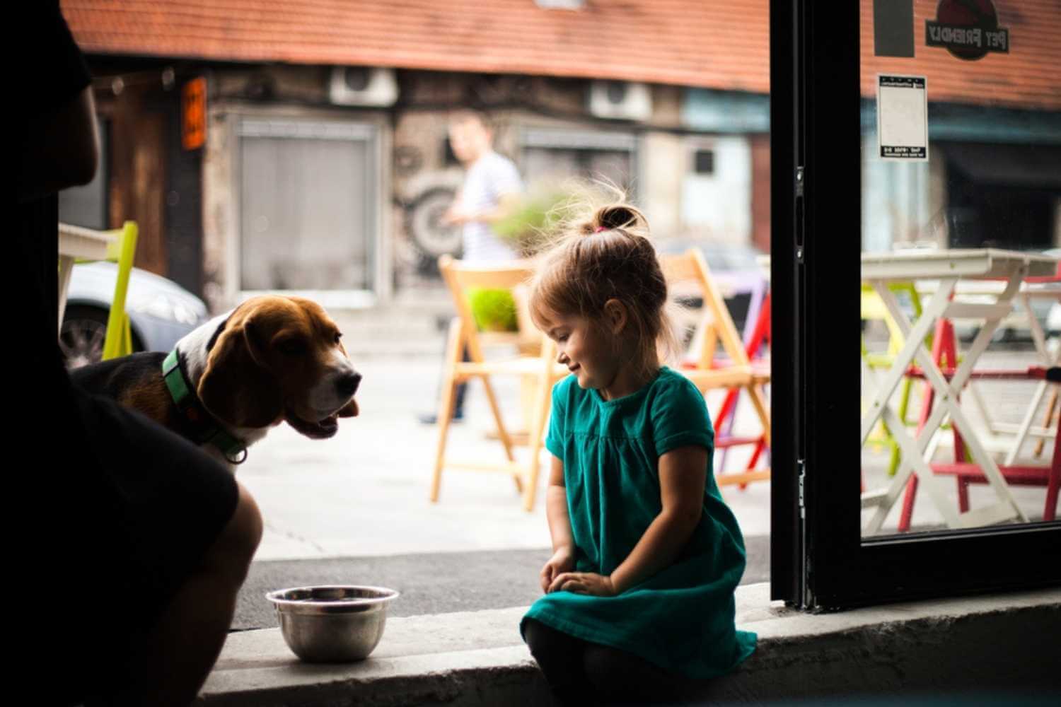 Buffalo NY Girl and Dog