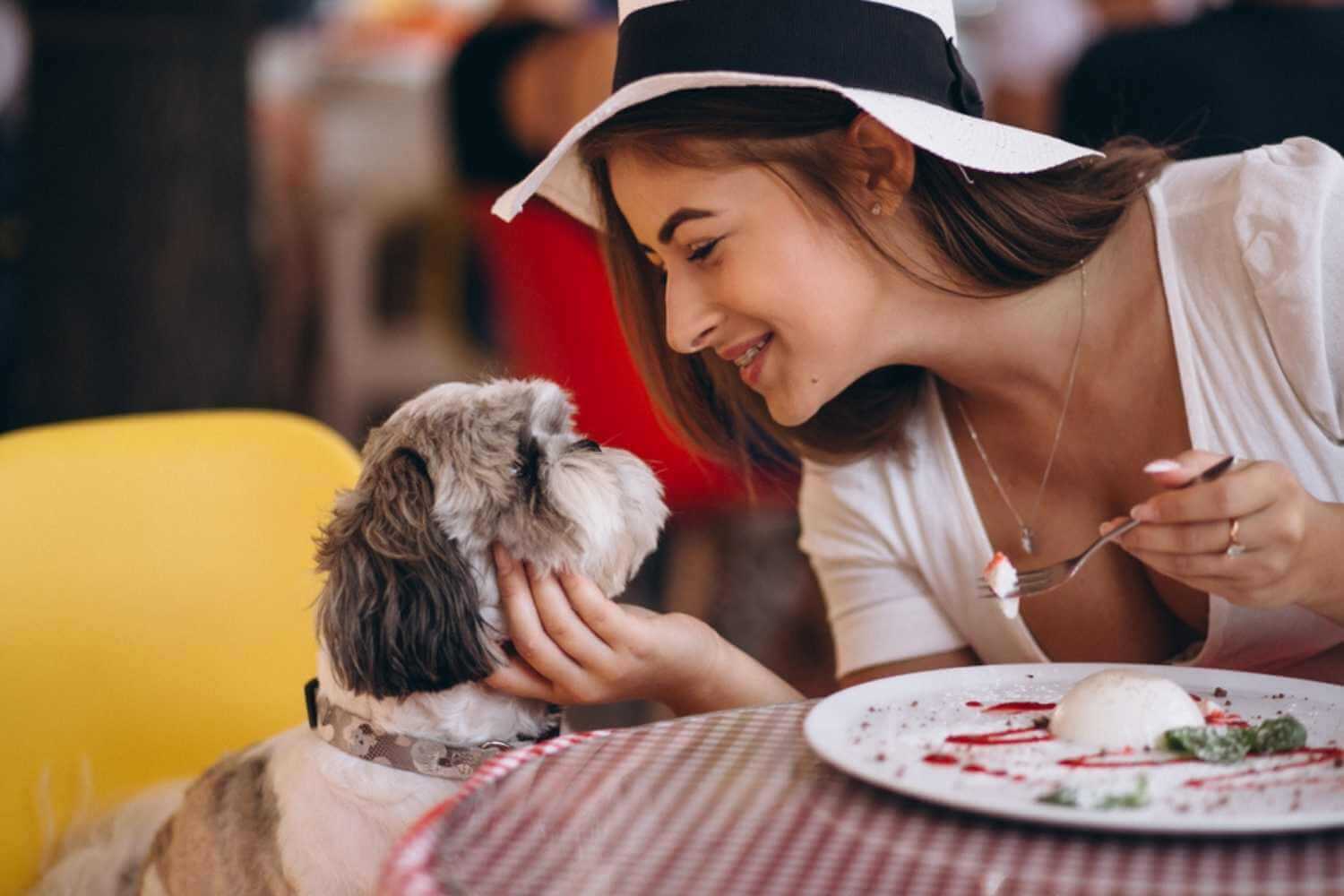 Buffalo NY Woman with Dog at Restaurant