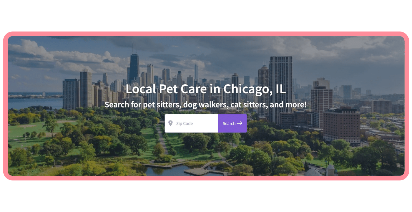 Adopt a pet in Chicago - CTA