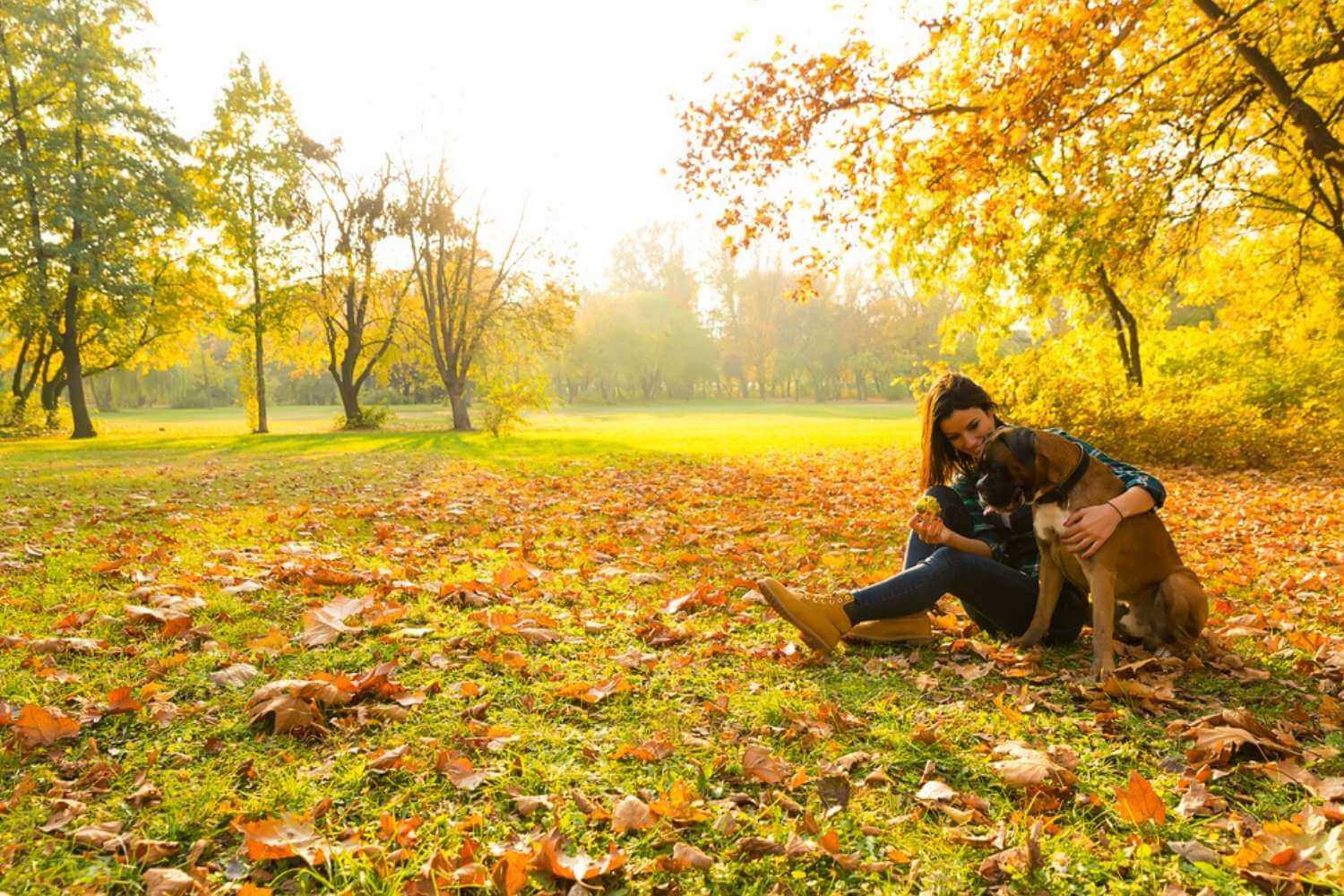 Cincinnati Dog During Fall in Park