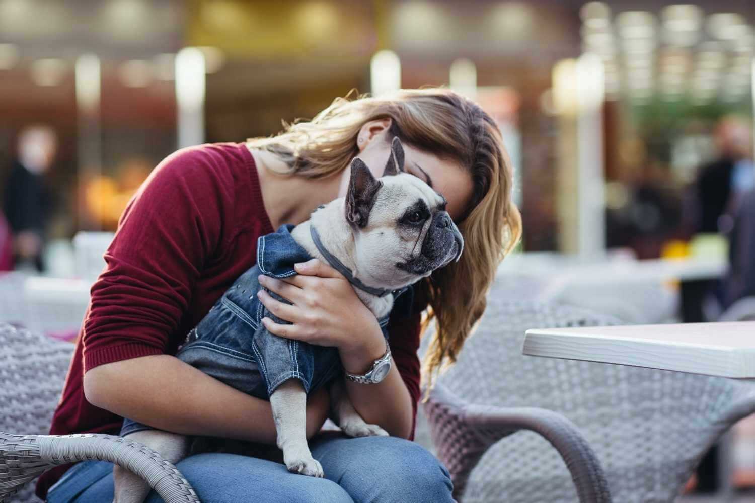 Des Moines IA Dog At Restaurant