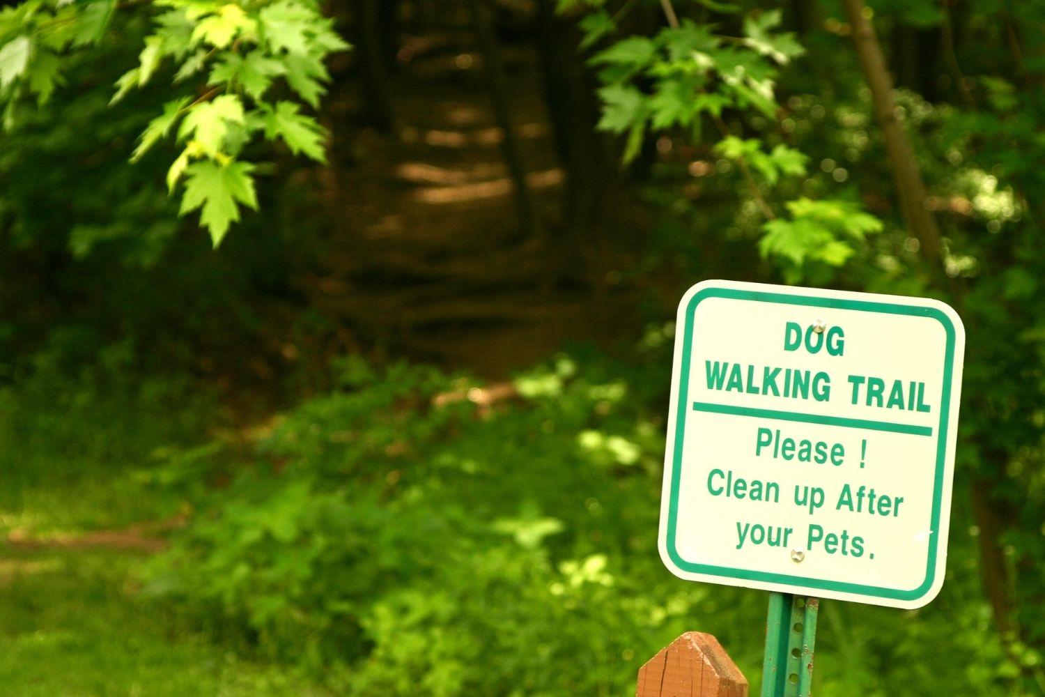 Atlanta dog hiking trail clean up