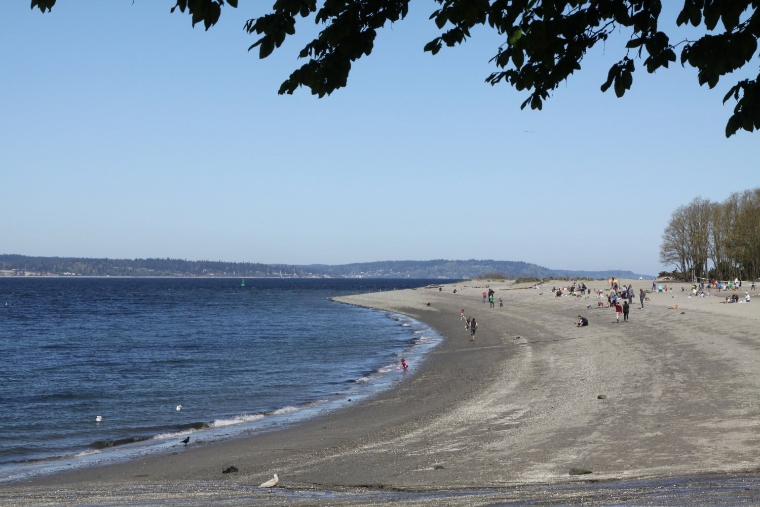 Golden Gardens dog park