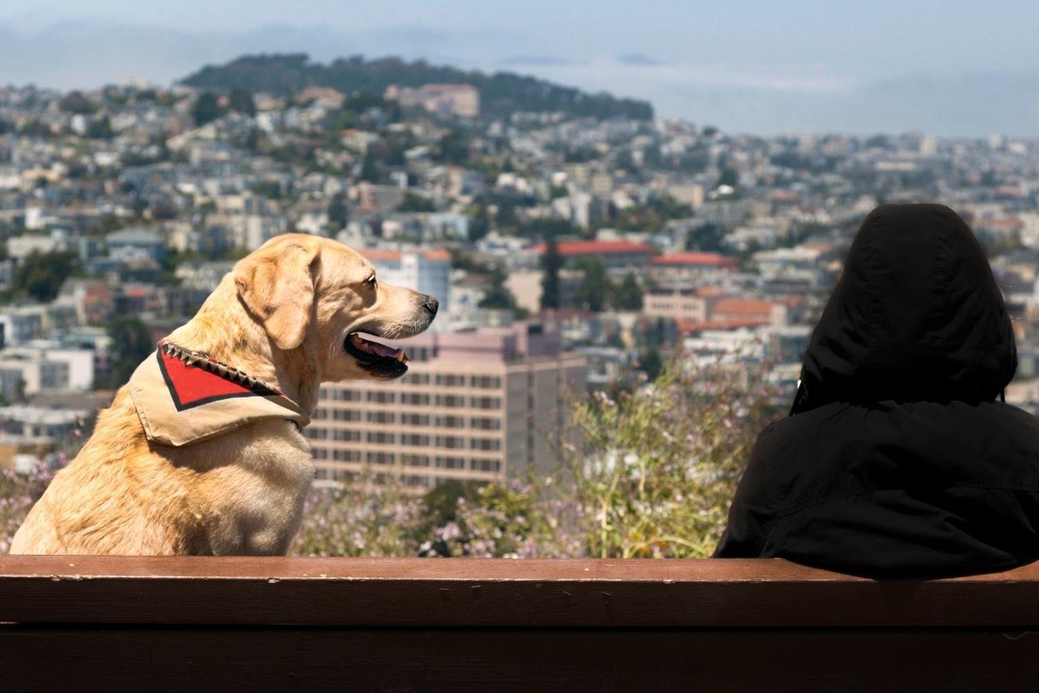 San Francisco Dog-Friendly Restaurants - view