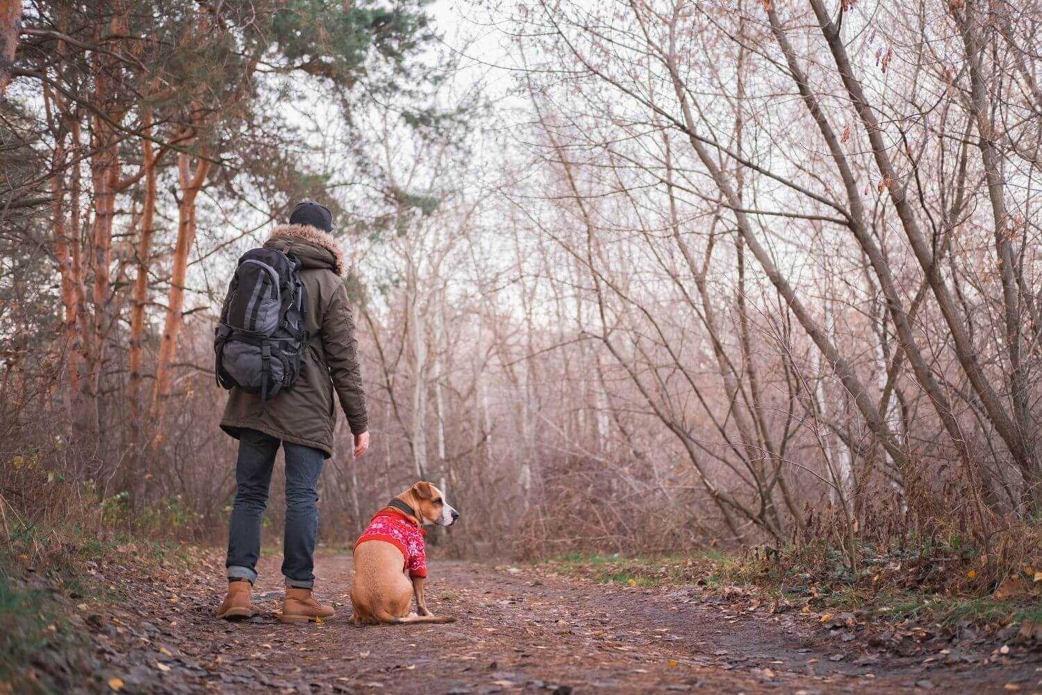 Dog-friendly Hike DC - on trail