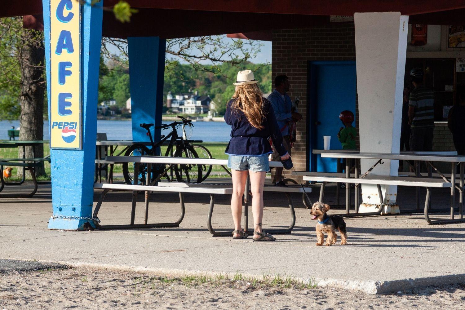 Dog at restaurant in Seattle