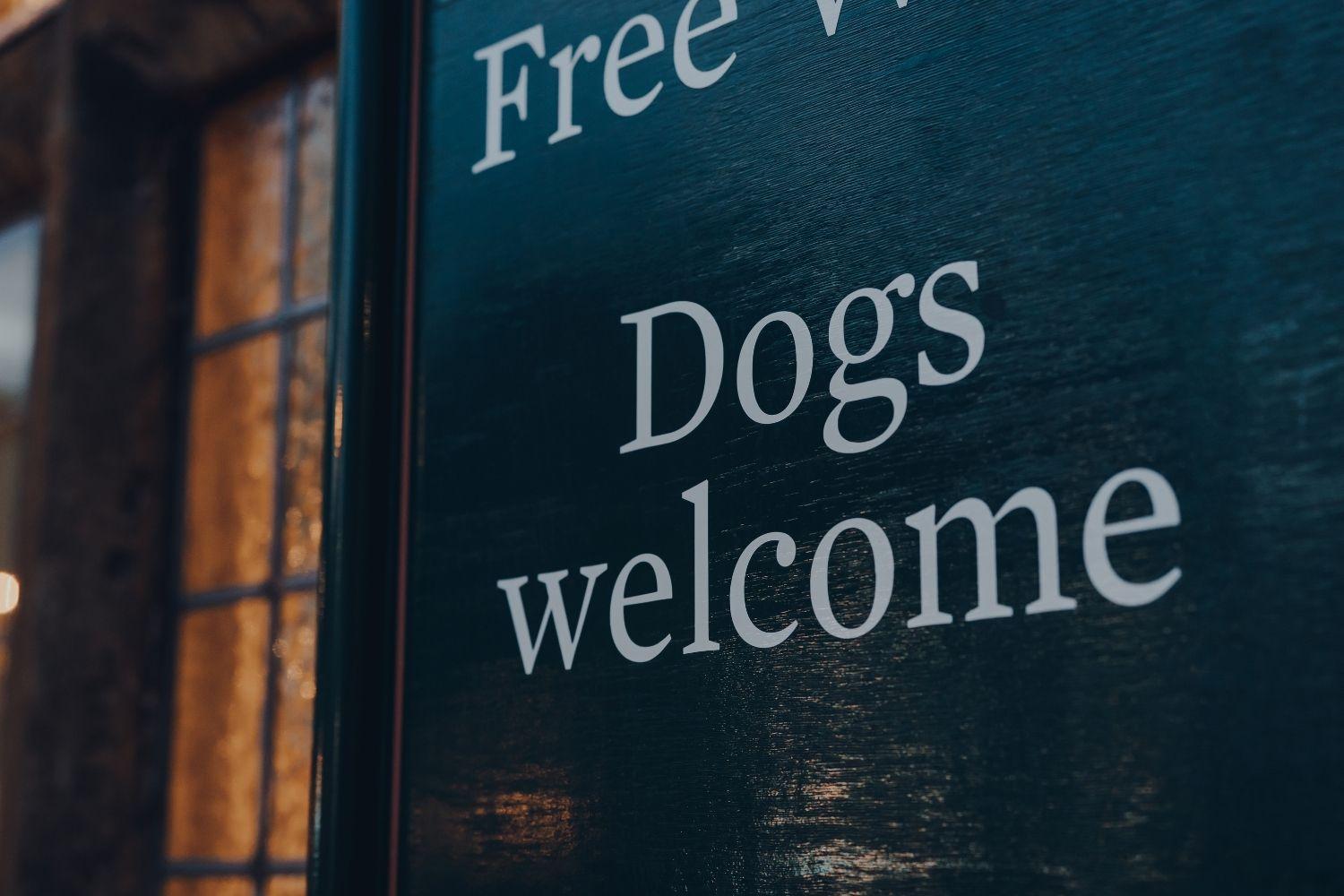 Dogs welcome