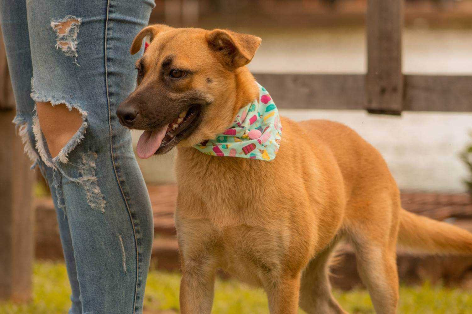 Fort Worth Dog with Mom Outside