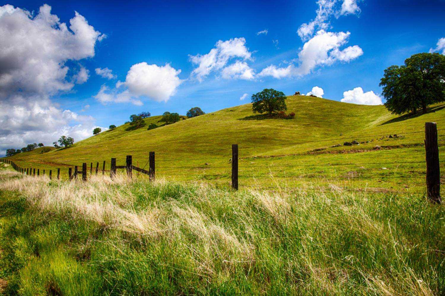 Fresno CA Rolling Hills