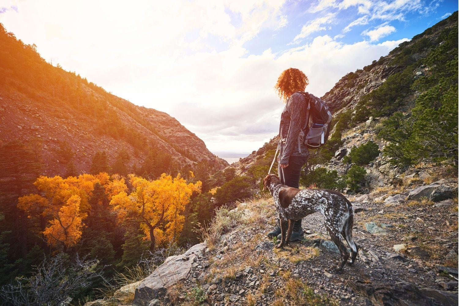 Hiking with dog in mountains