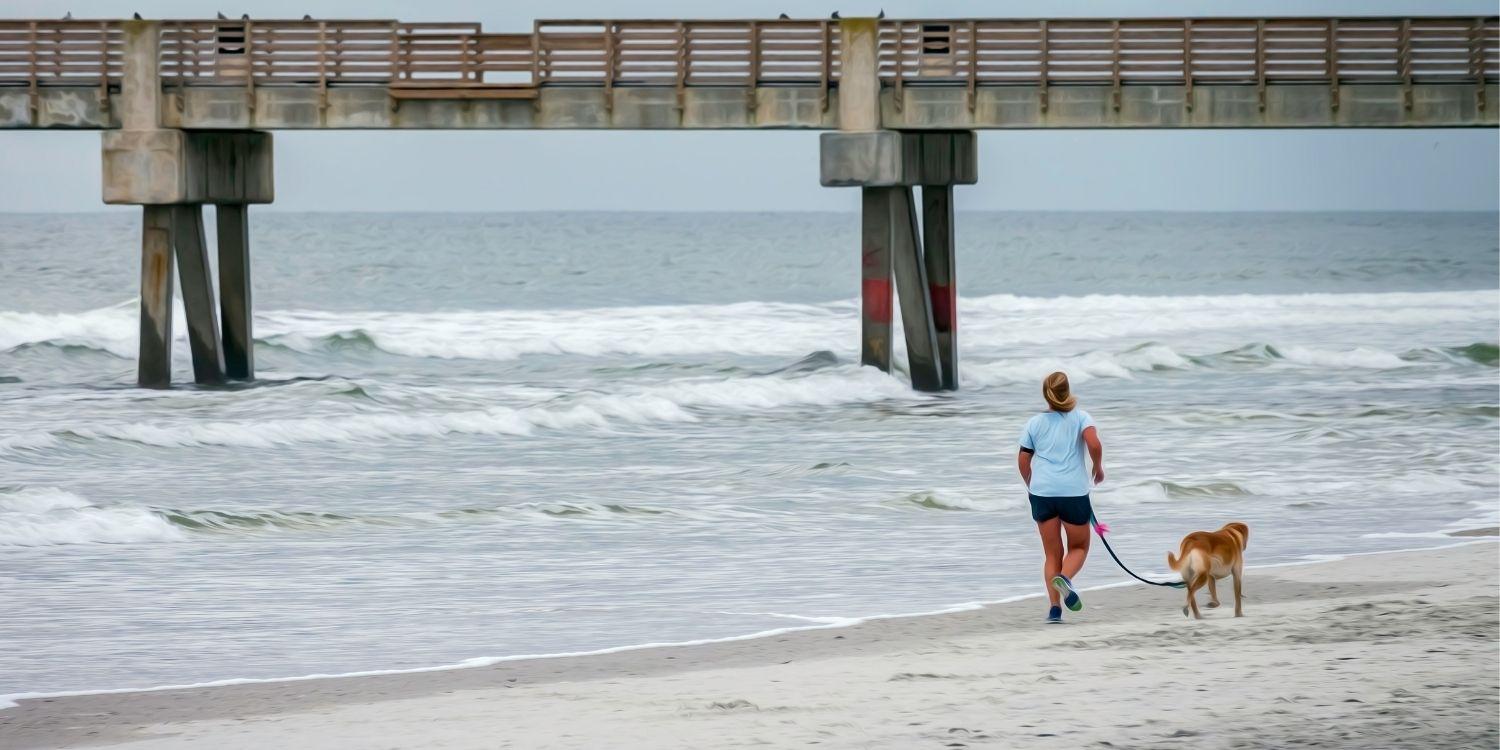 Jacksonville Dog Beach