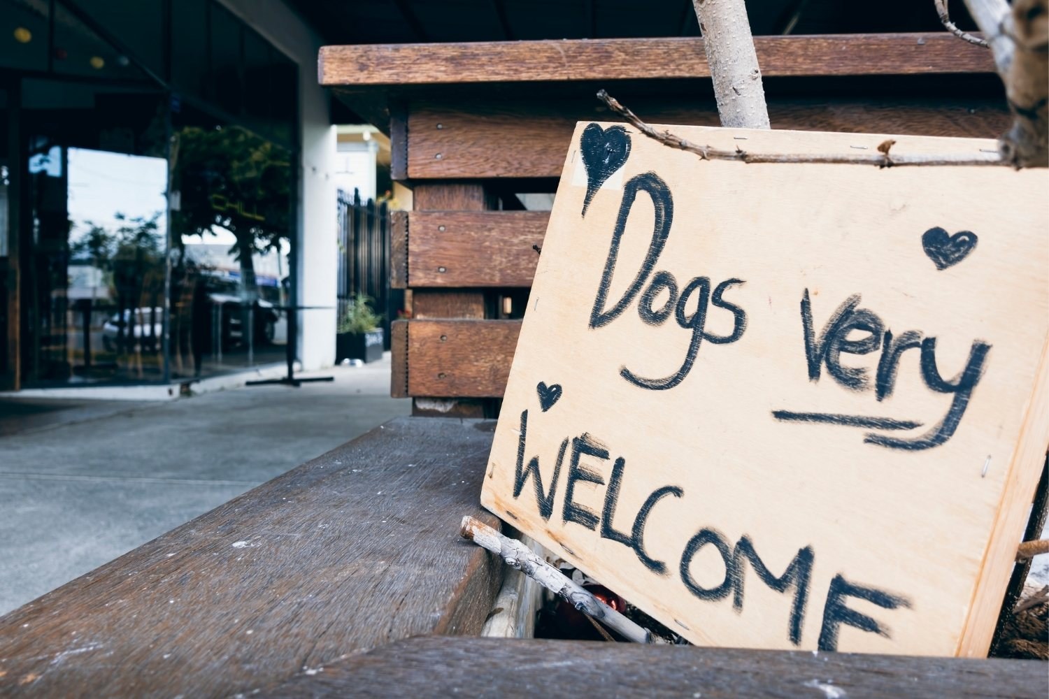 LPC-Dog-Friendly-Restaurants-Charlotte-sign