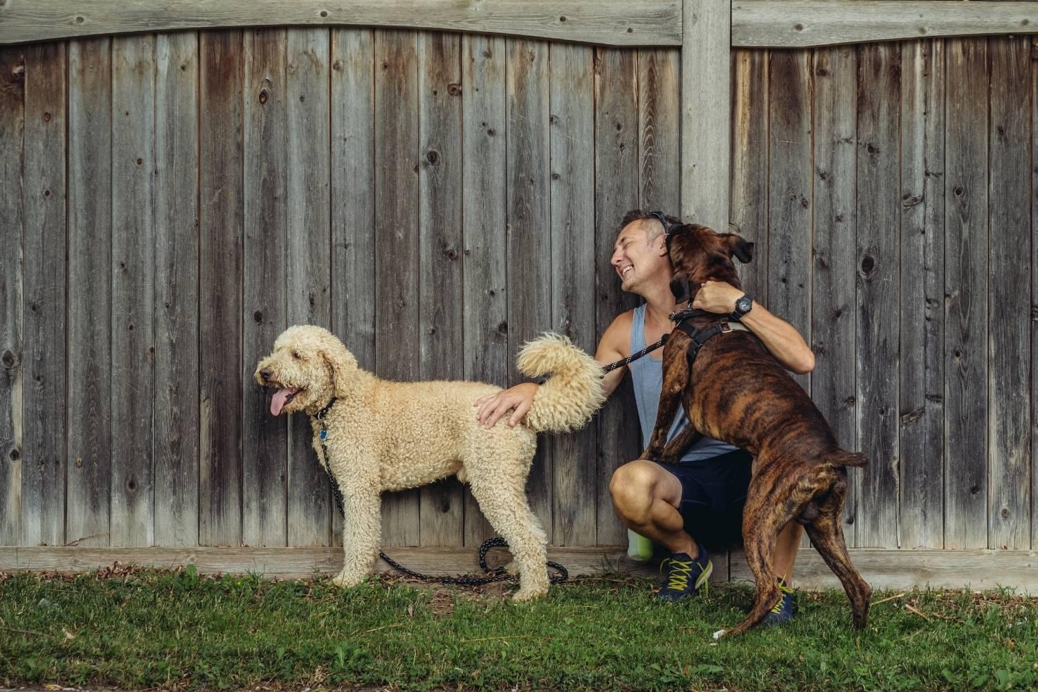 Hire a pro - dog kisses