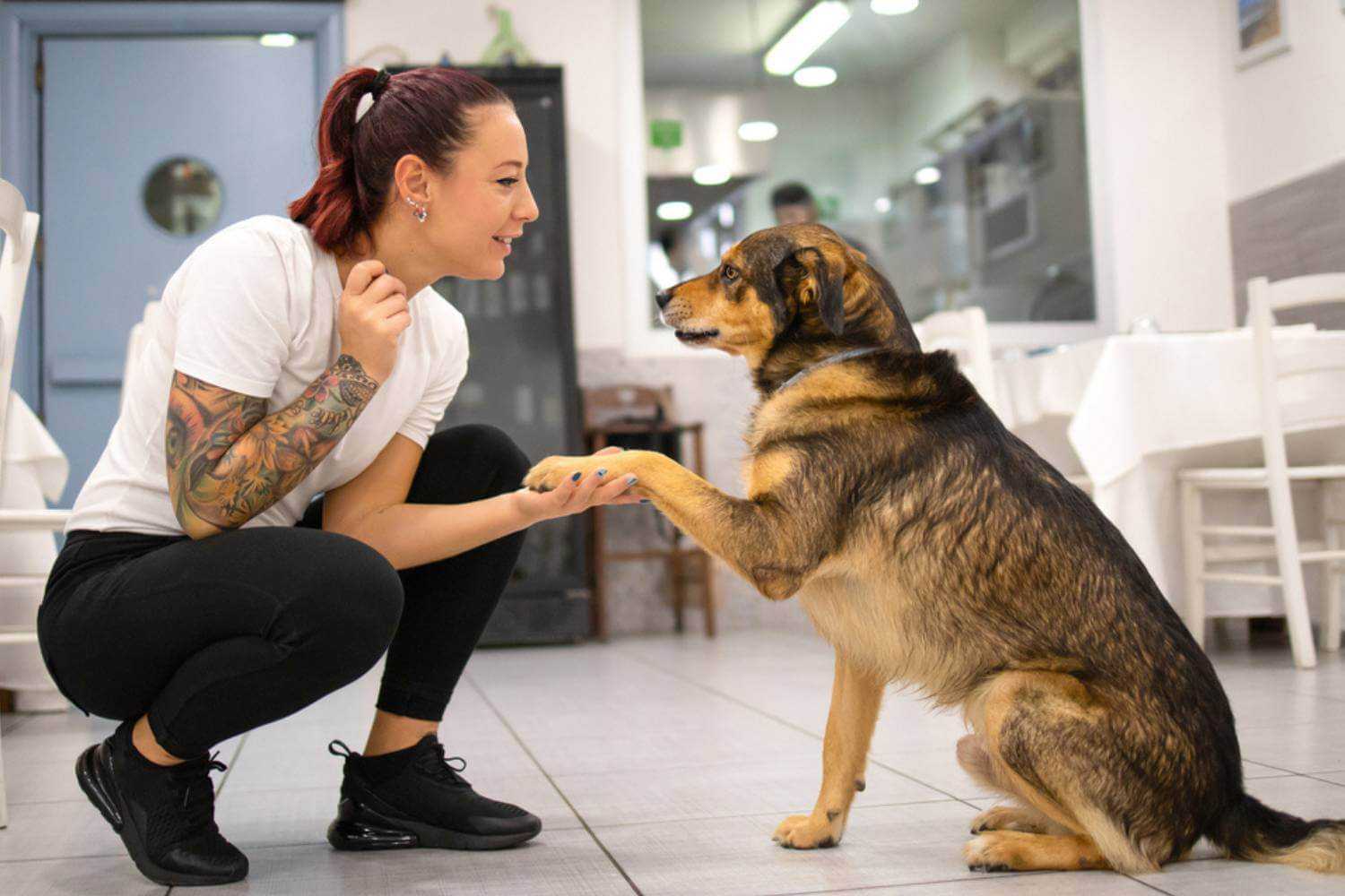 Las Vegas Dog Meeting Restaurant Owner