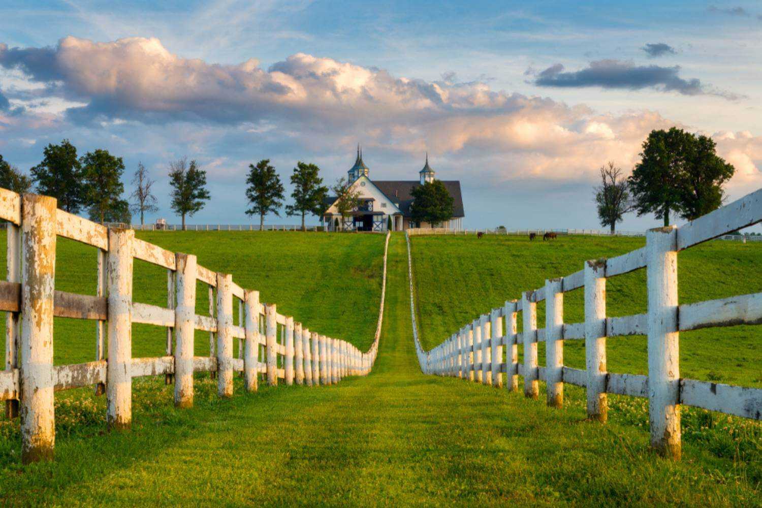 Lexington KY Horse Farm with Run