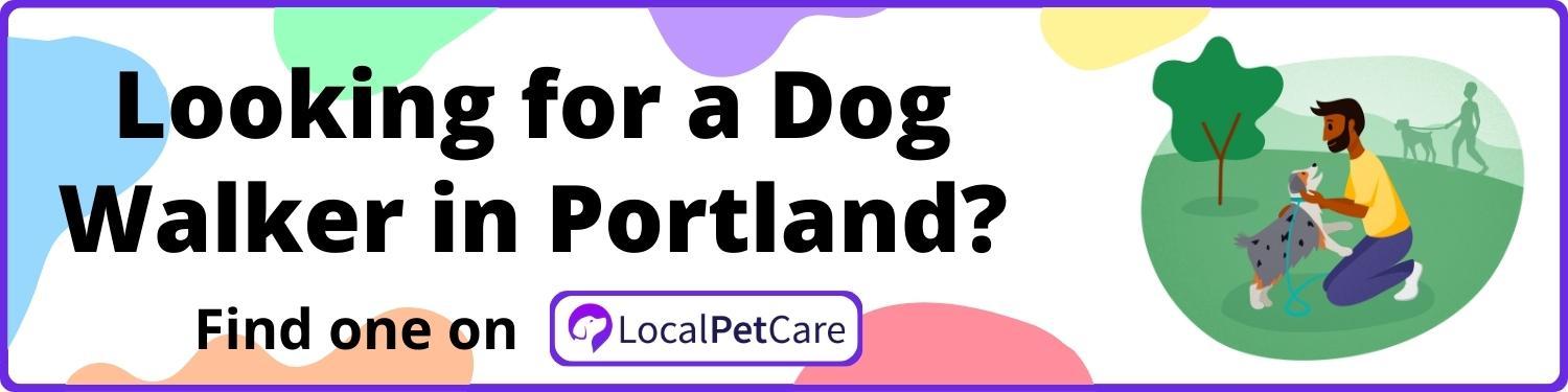 Looking For A Dog Walker in Portland