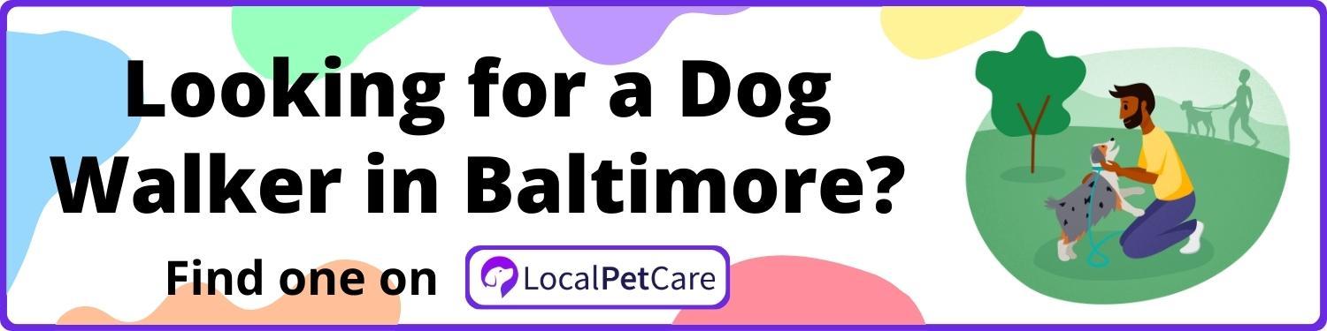 Looking for a Dog Walker in Baltimore