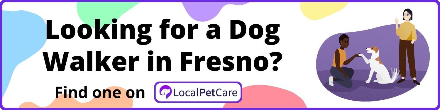 Looking for a Dog Walker in Fresno