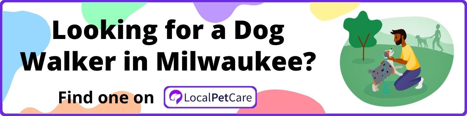 Looking for a Dog Walker in Milwaukee