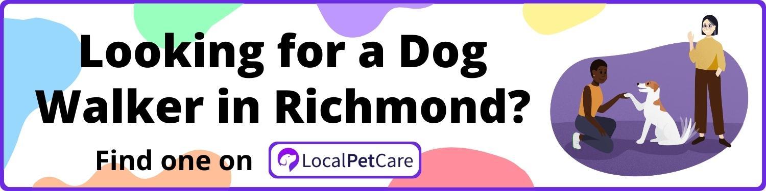 Looking for a Dog Walker in Richmond