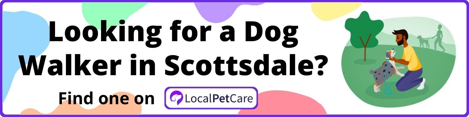 Looking for a Dog Walker in Scottsdale