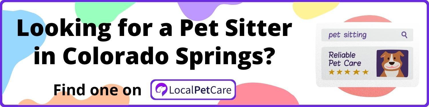 Looking for a Pet Sitter in Colorado Springs