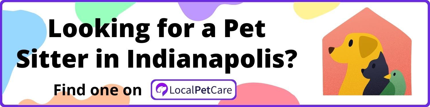 Looking for a Pet Sitter in Indianapolis