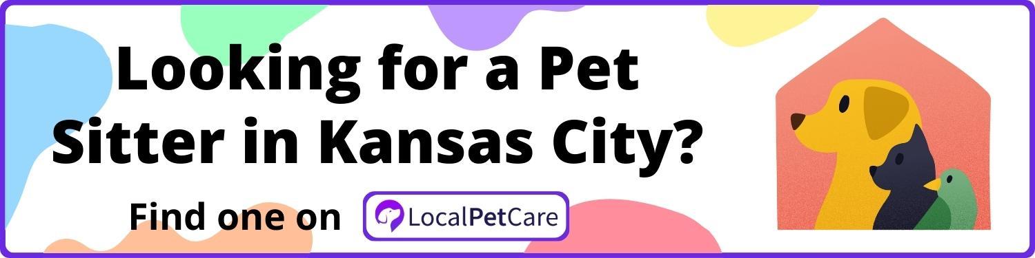 Looking for a Pet Sitter in Kansas City