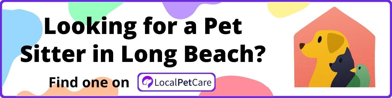 Looking for a Pet Sitter in Long Beach