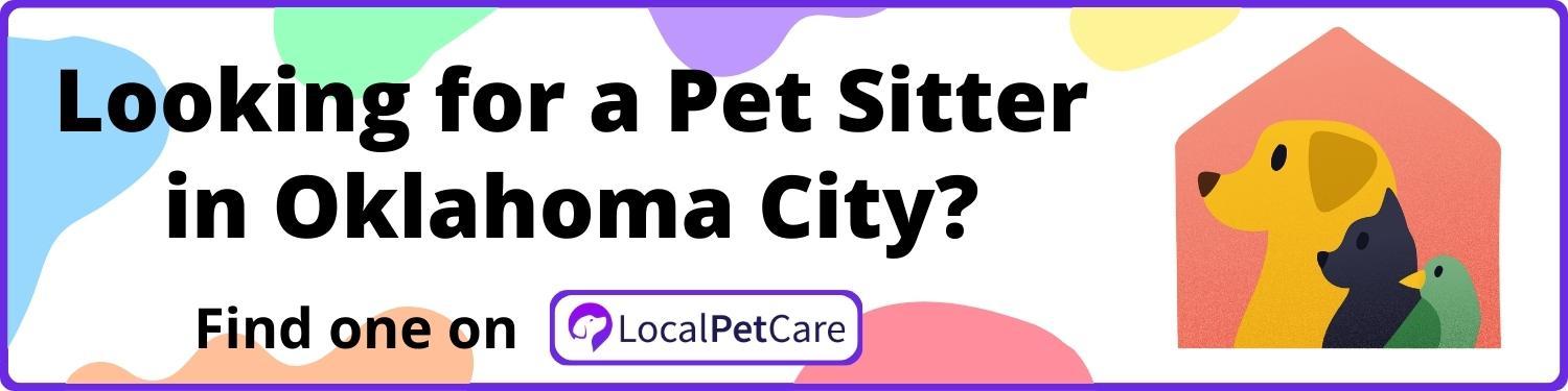 Looking for a Pet Sitter in Oklahoma City