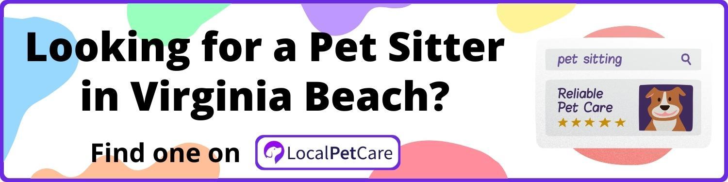 Looking for a Pet Sitter in Virginia Beach