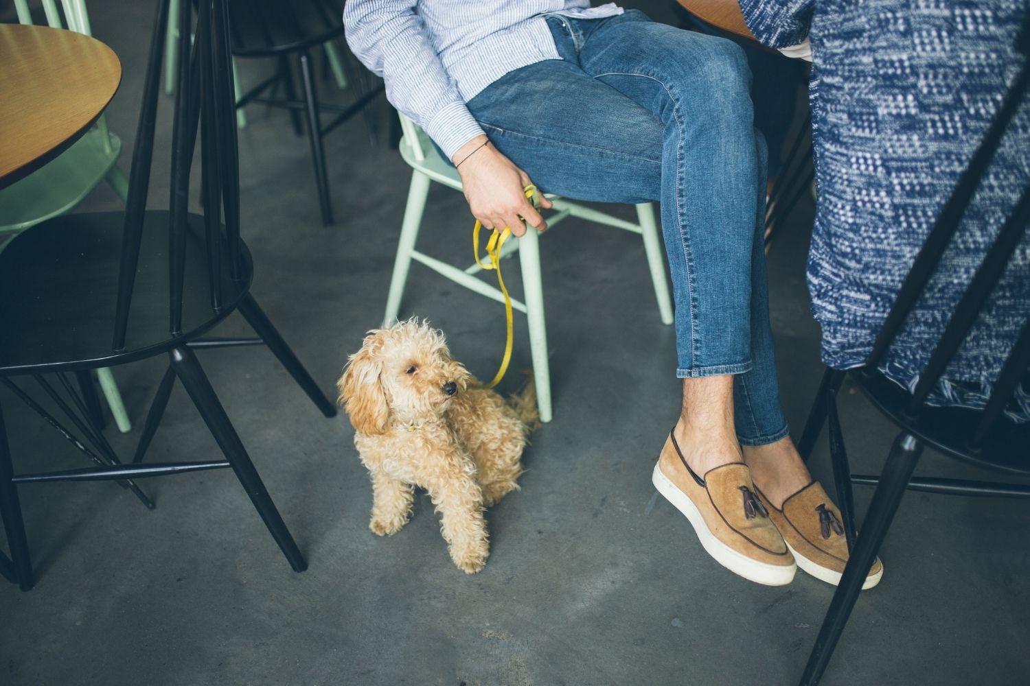 Dog-friendly Restaurant Los Angeles