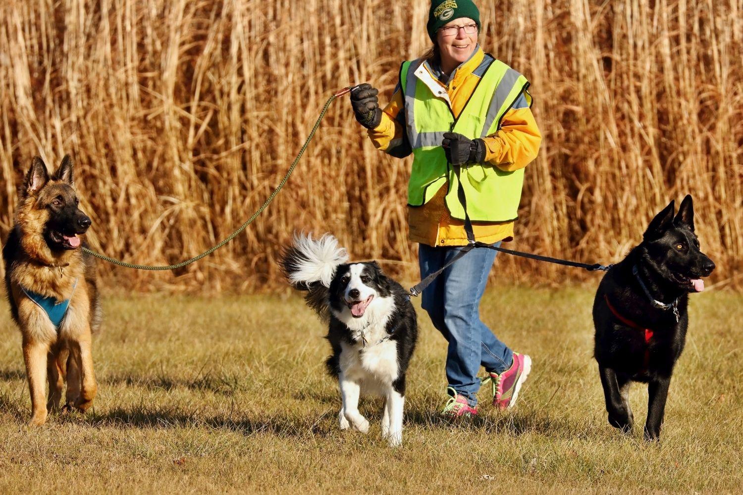 Madison-Dog-Parks-group-field