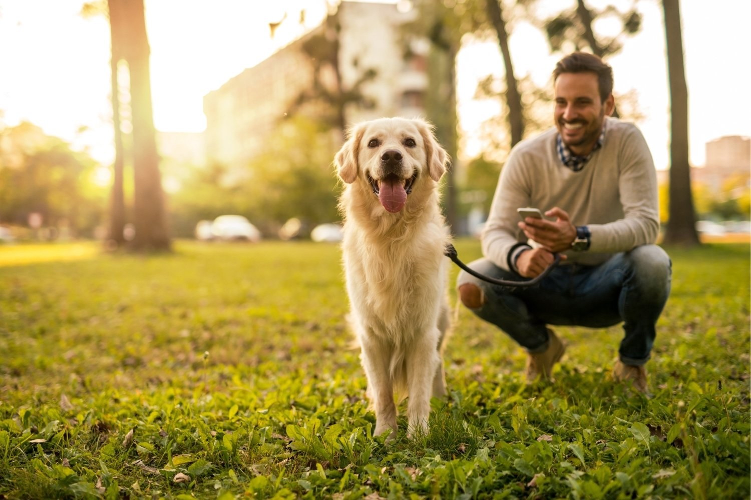 Man with dog and phone