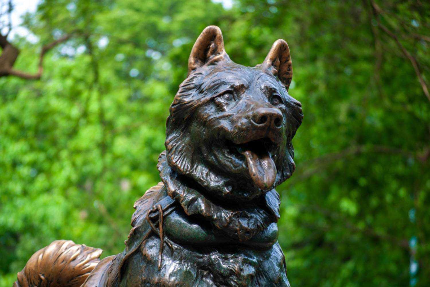 Manhattan NY Balto Statue in Central Park