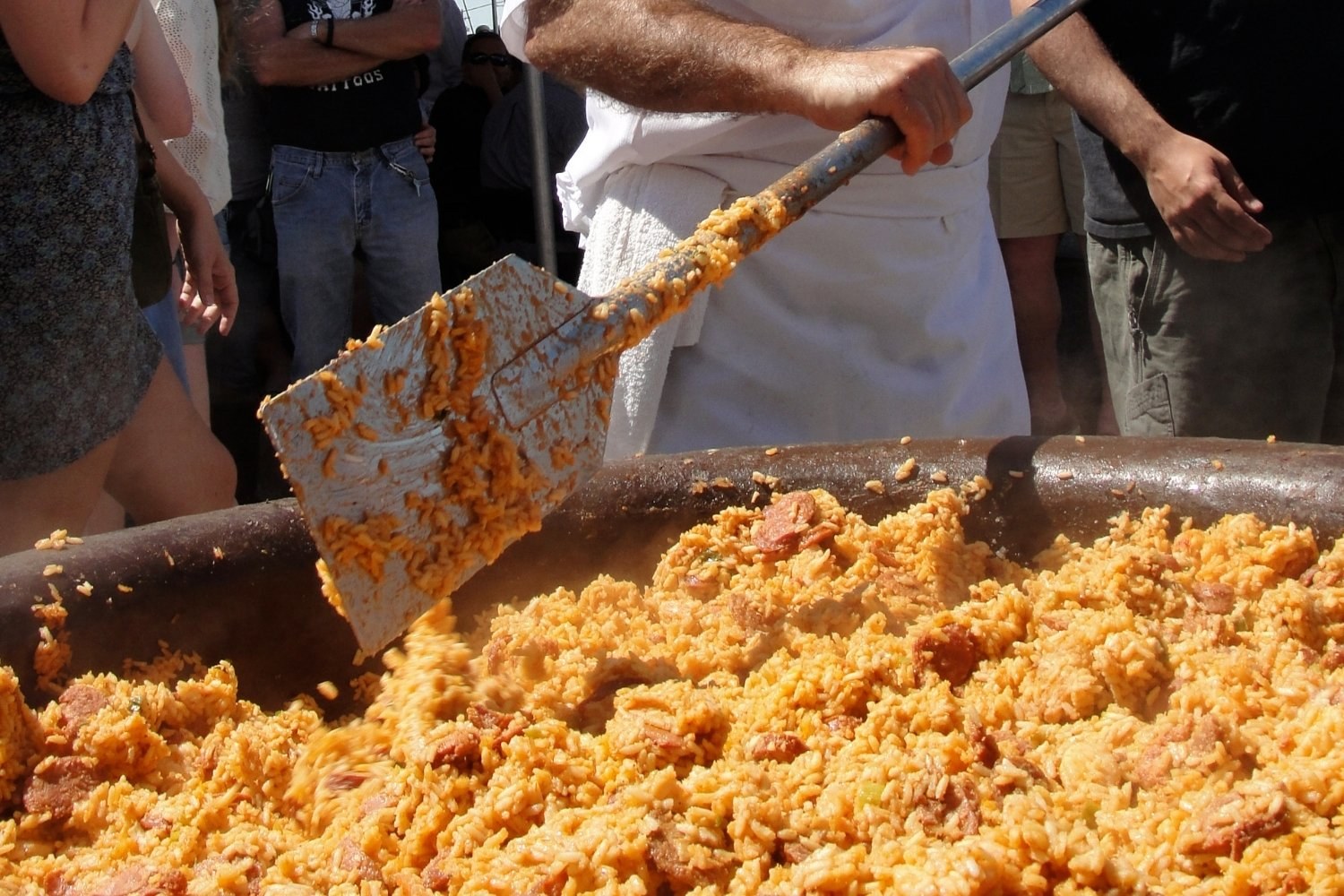 Dog-friendly new orleans jambalaya